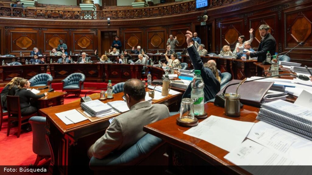 Foto: Búsqueda
