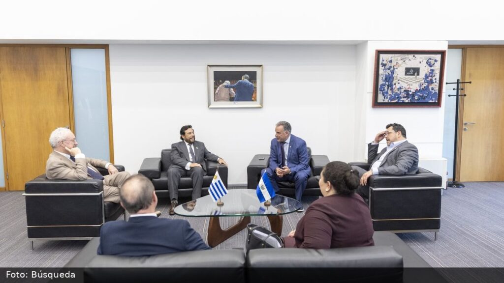 Foto: Búsqueda