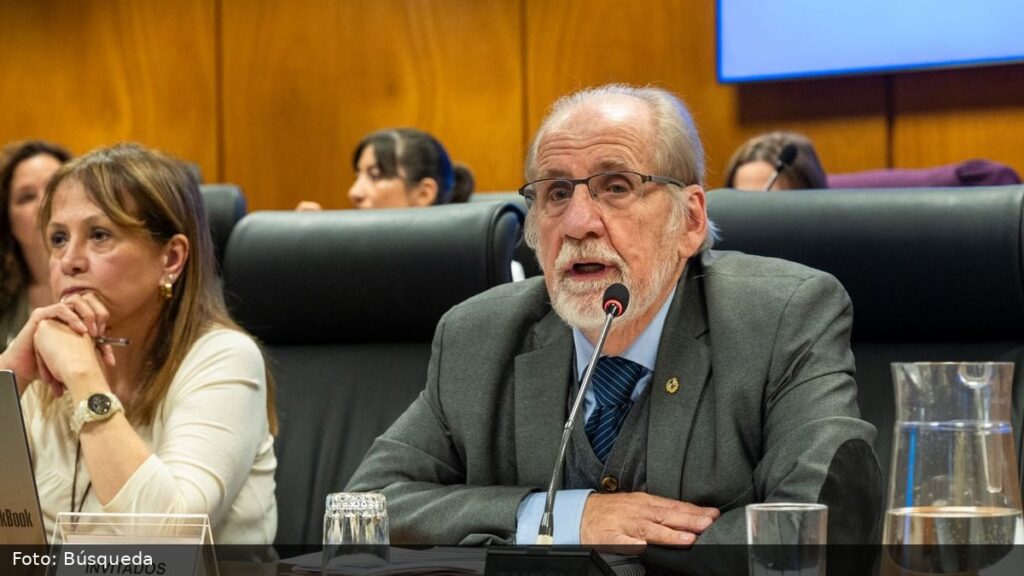 Foto: Búsqueda